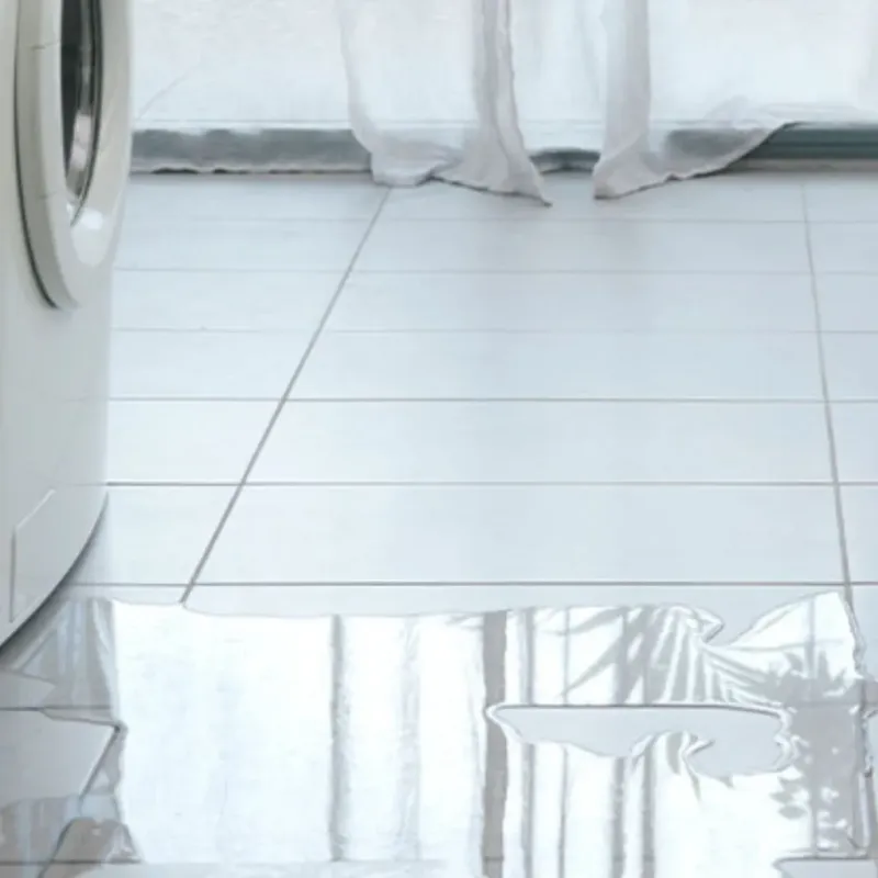 Appliance Leak Cleanup in Vandiver, AL