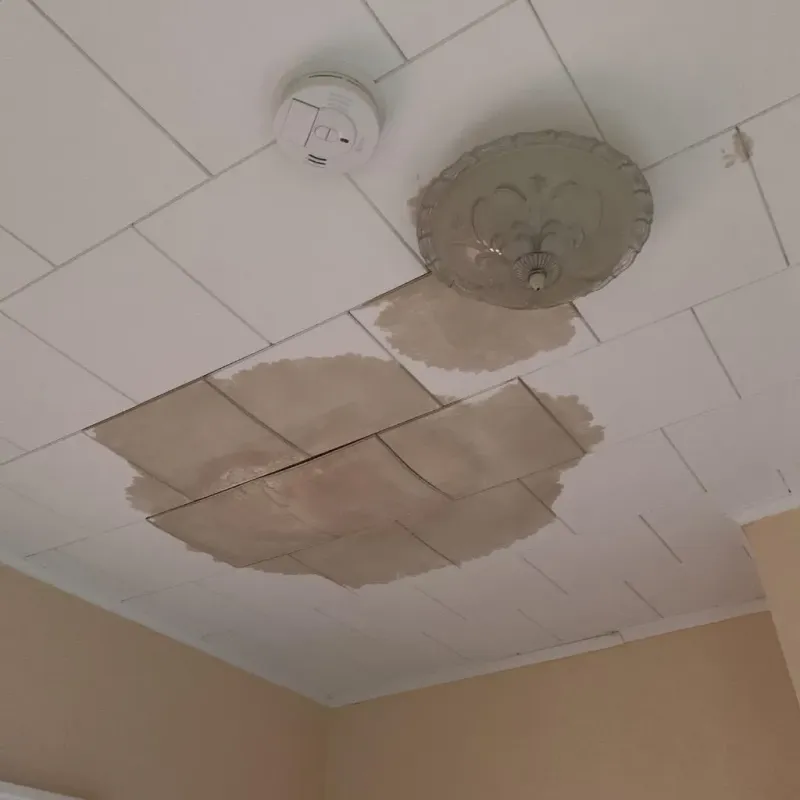 Ceiling Water Damage Repair in Vandiver, AL
